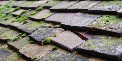 Clydach roof repair costs